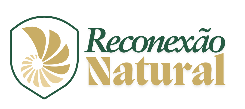 Reconexão Natural
