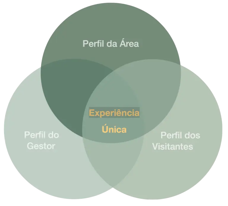 Triplo Perfil